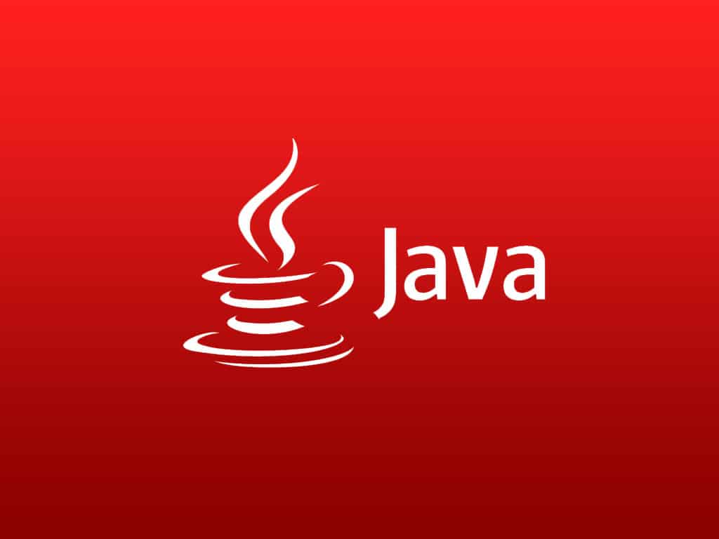 learn java in one day pdf
